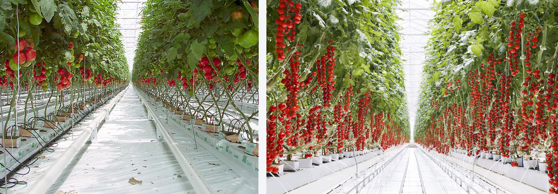 A comprehensive suite of irrigation water treatment technologies